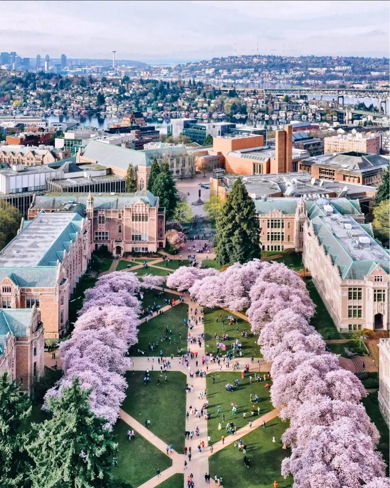 加州大学尔湾分校